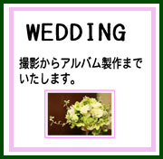 �E�F�f�B���O